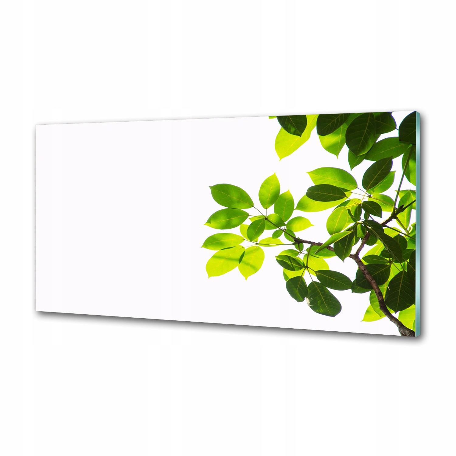 Sklenený panel do kuchyne Listy 120 x 60 cm Lepidlo