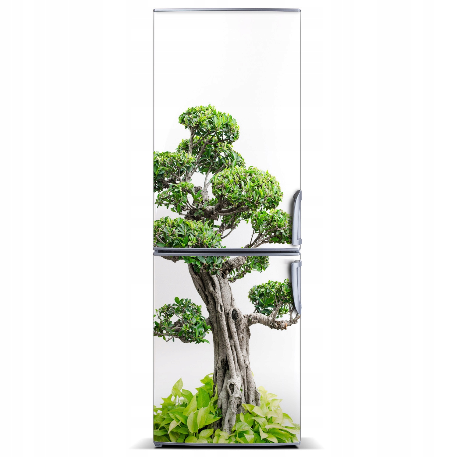 

Naklejka Magnes Magnes Drzewo bonsai 60x180