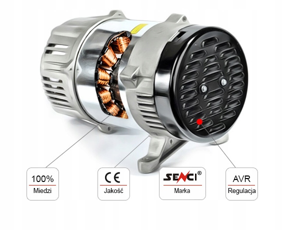 Cichy Agregat Prądotwórczy Diesel Dual 10.6kVA SZR Rodzaj przenośny