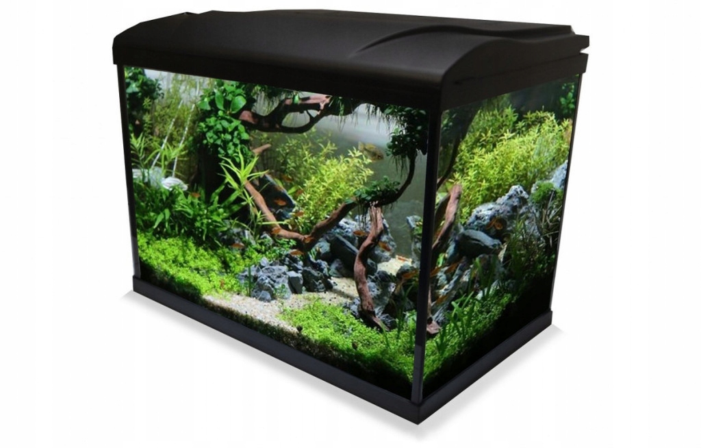 

Invital Slim Led zestaw 24l z filtrem wewnętrznym