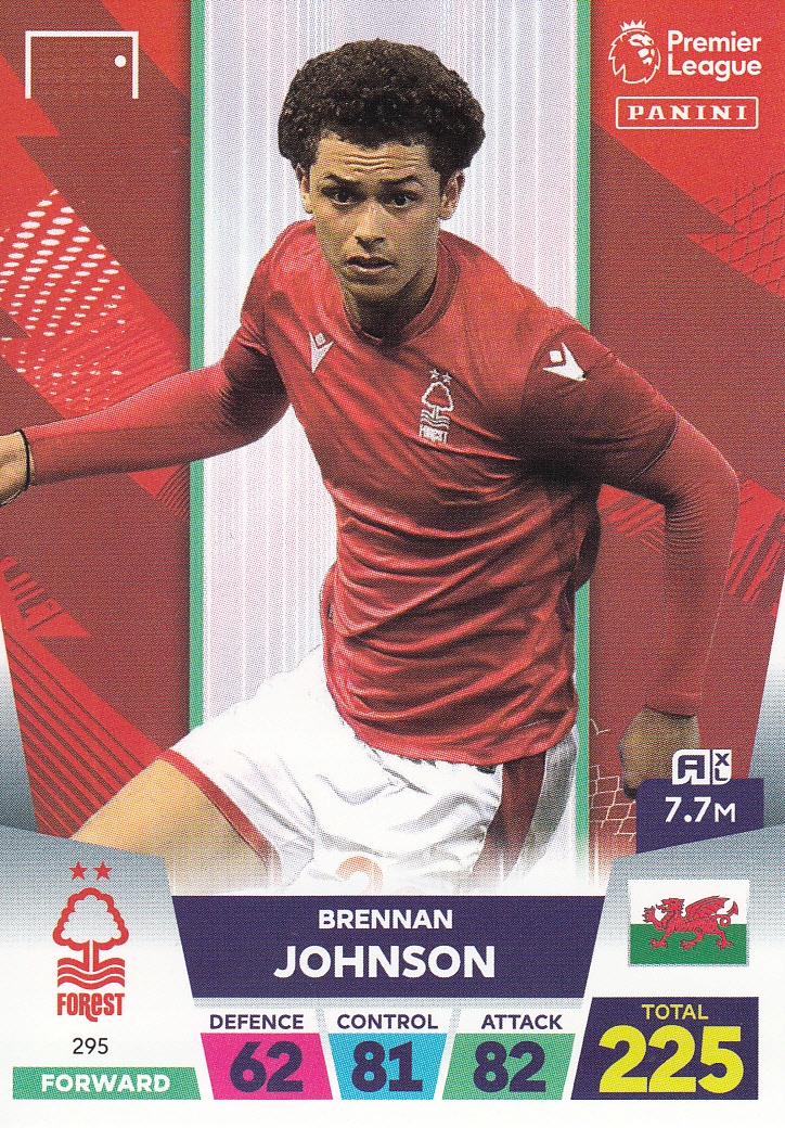 Premier League 2023 Base Card Johnson 295