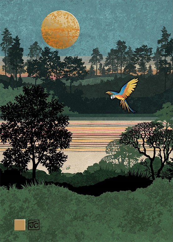 

Karnet kartka Bug Art koperta Papuga dżungla