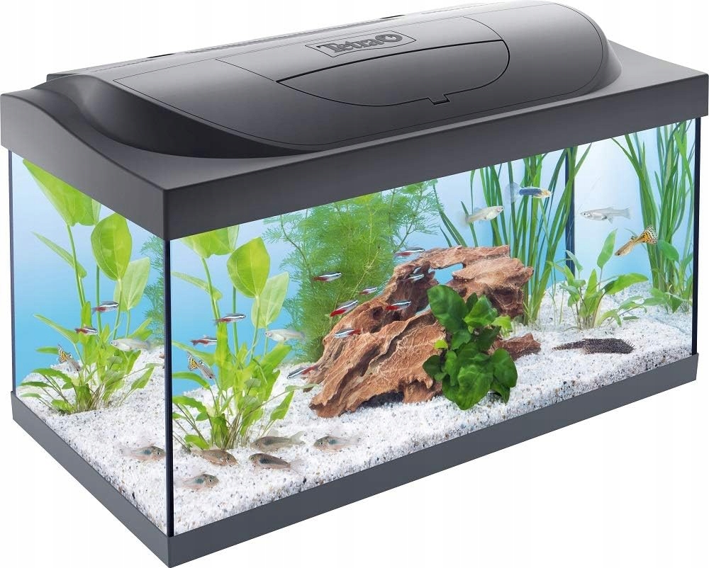 Akwarium Zestaw akwariowy kompletny Starter Line 54 L z Led Tetra