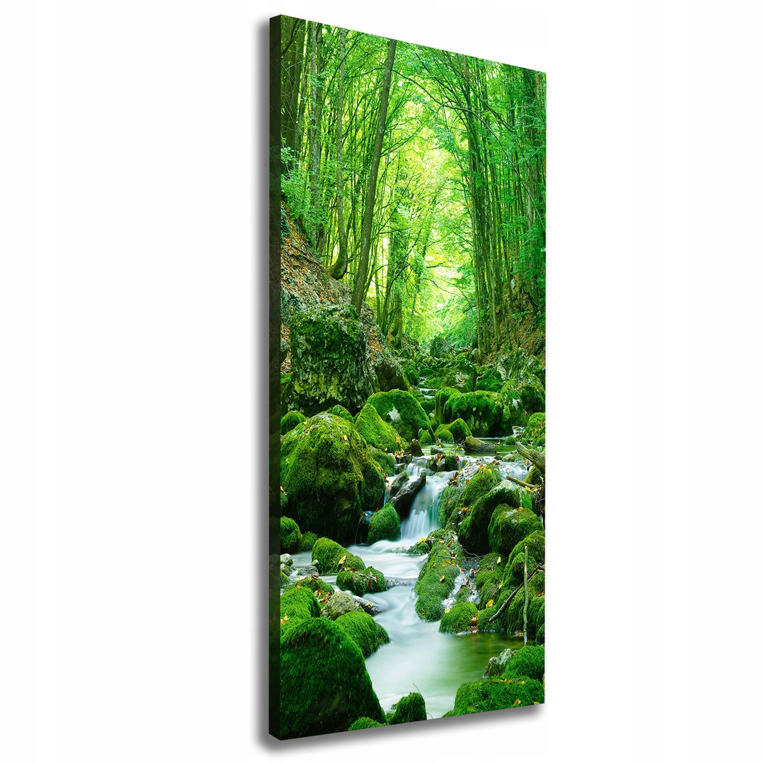

Foto obraz na płótnie Potok w dżungli 50x125 cm