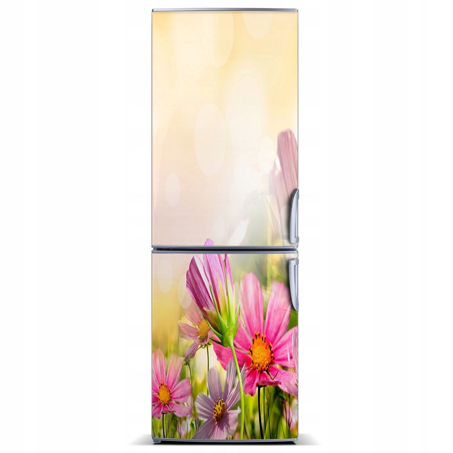 

Foto Magnes Tapeta na lodówkę Polne kwiaty 60x180