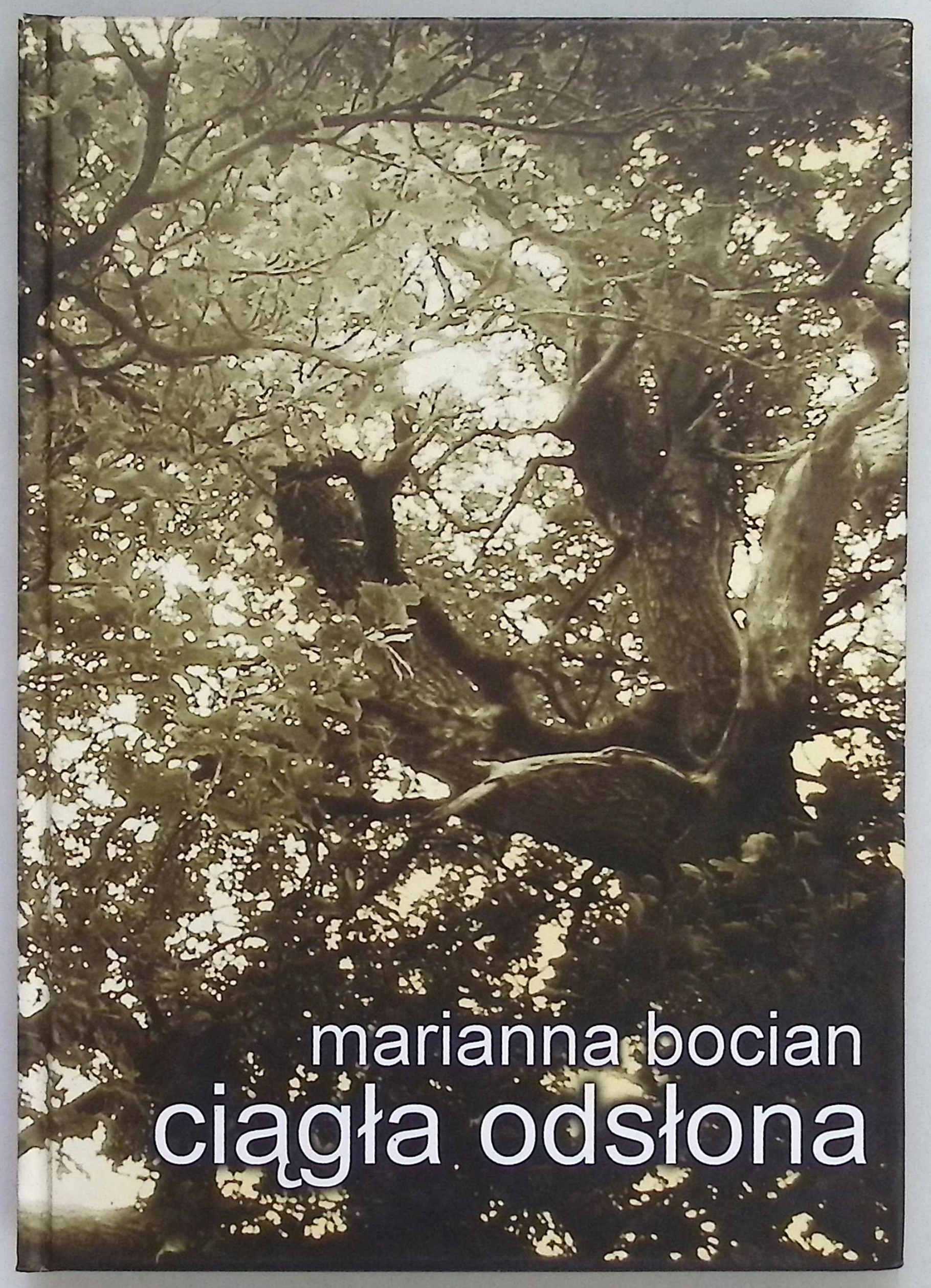 Ciągła odsłona Marianna Bocian