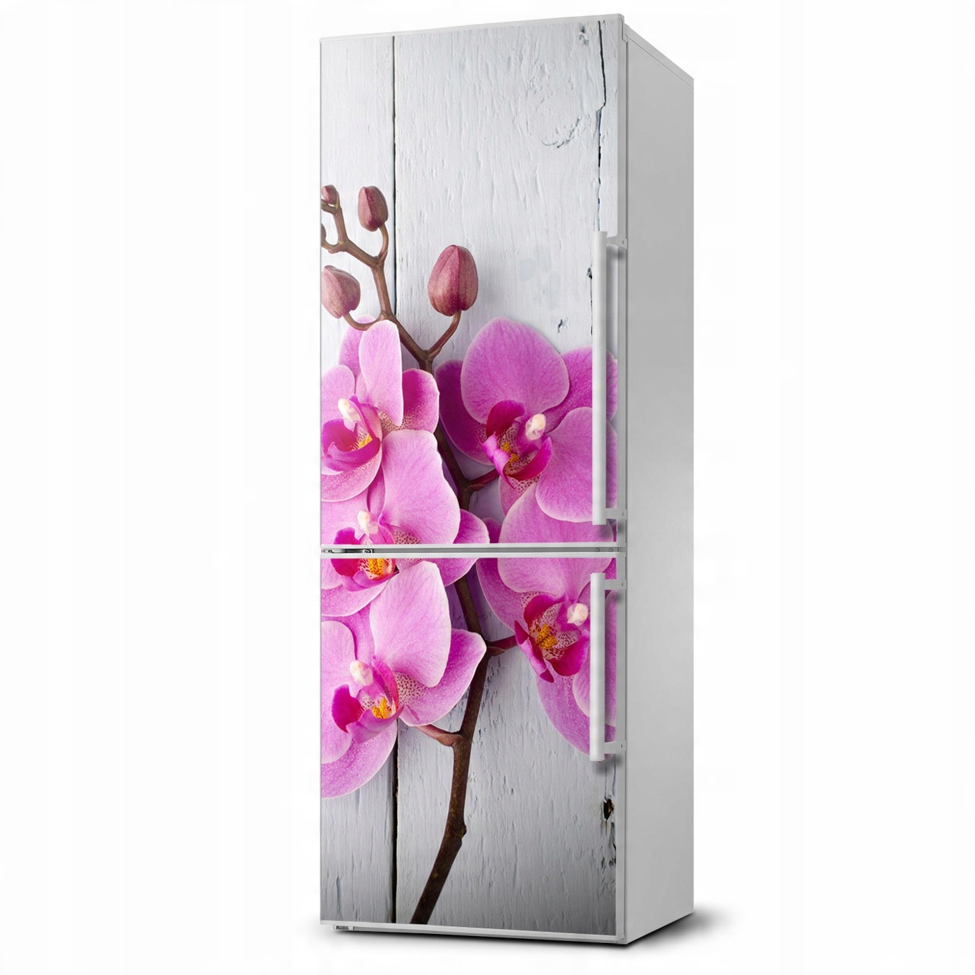 

Mata magnetyczna na lodówkę orchidea 60x180