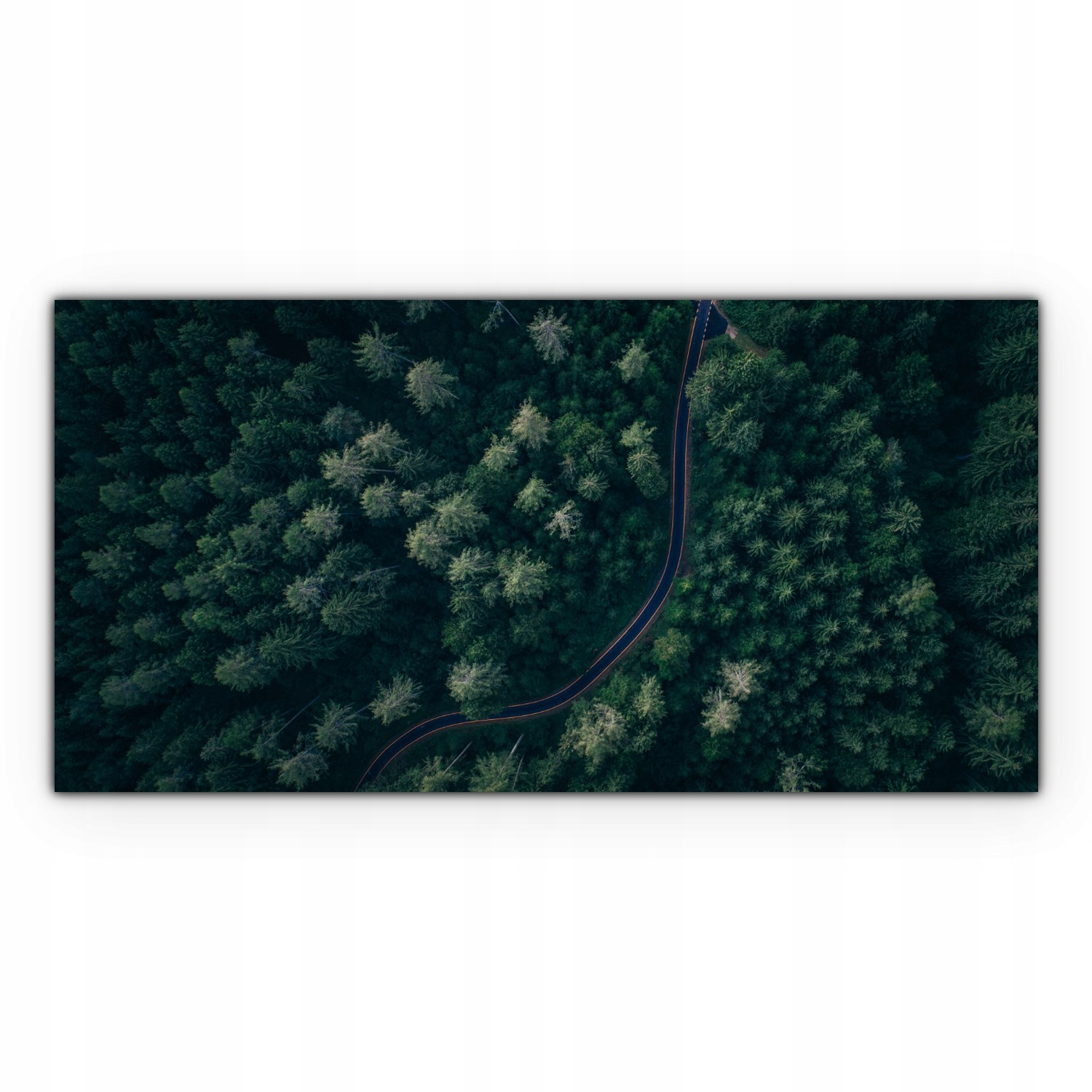 

Fotoobraz na płótnie 140x70 Droga Wiejska Drzewa