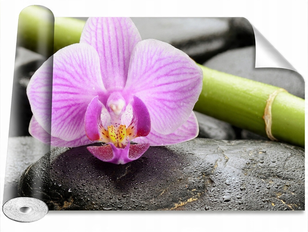 

Tapeta Samoprzylepna Orchidea Kamienie 312x219