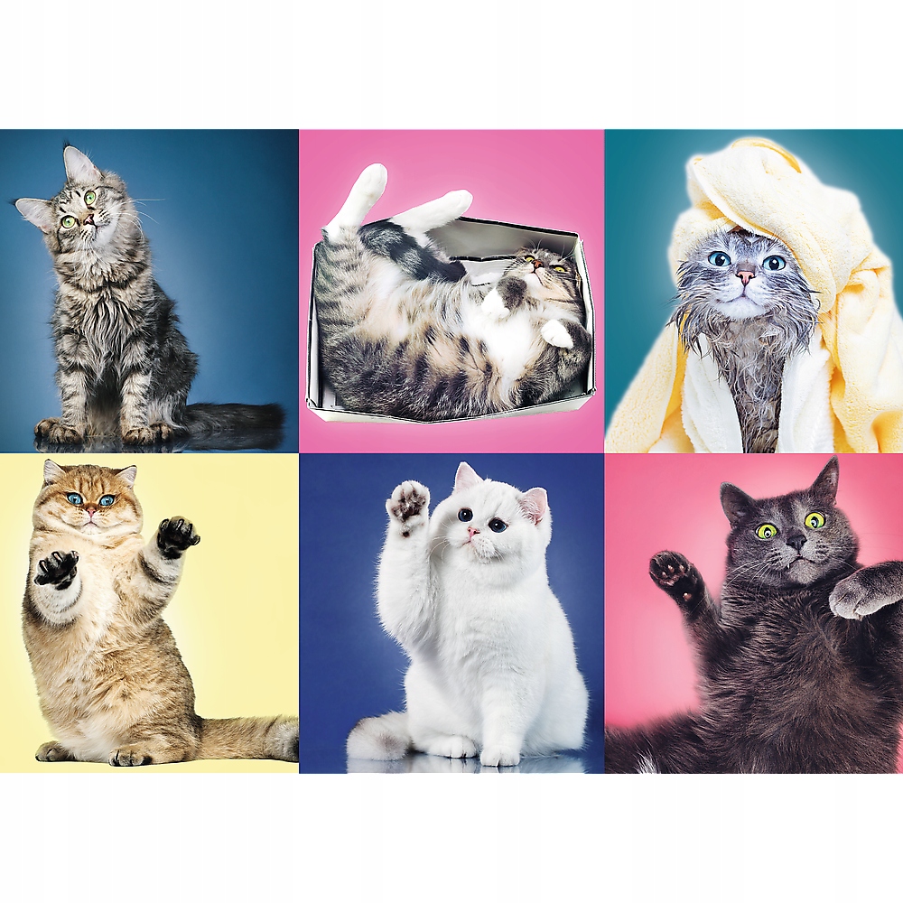 

Puzzle 500 Układanka Zwierzęta Koty 10+ Trefl