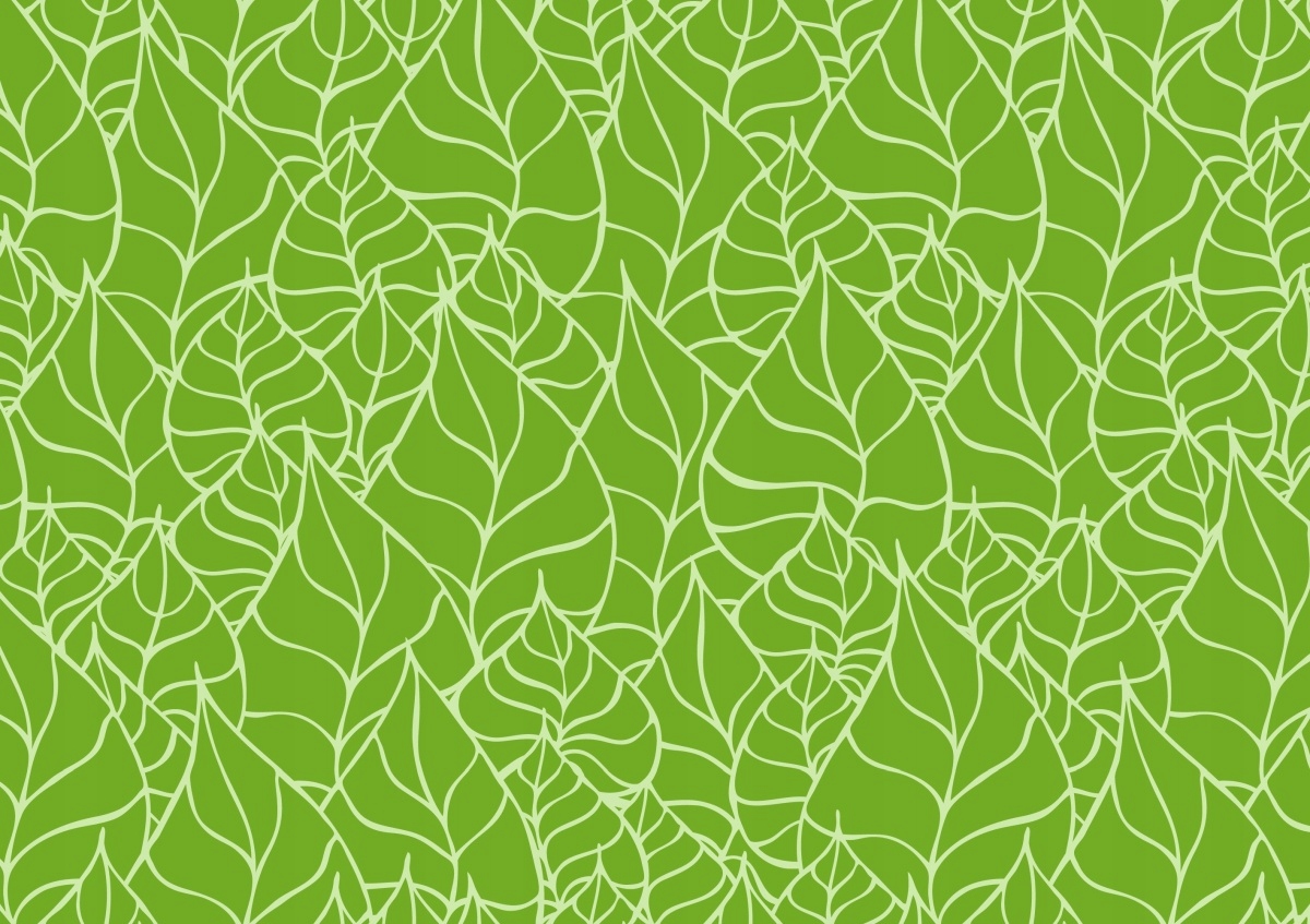 

Fototapeta Flizelina Wzór w liscie - 208x146