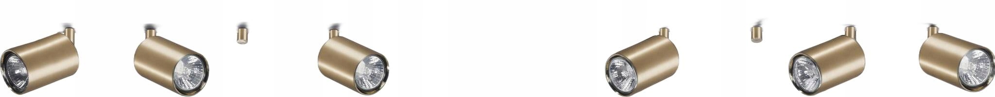 Stropní Stropní svítidlo Nowodvorski zlato-černá