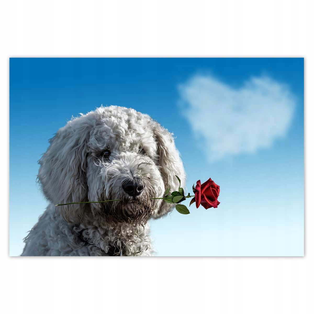 Plakáty 200x135 Zamilovaný kundel Láska