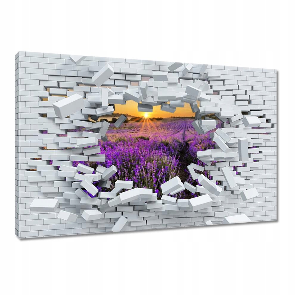 

Obrazy 60x40 Lawendowy pejzaż Słońce