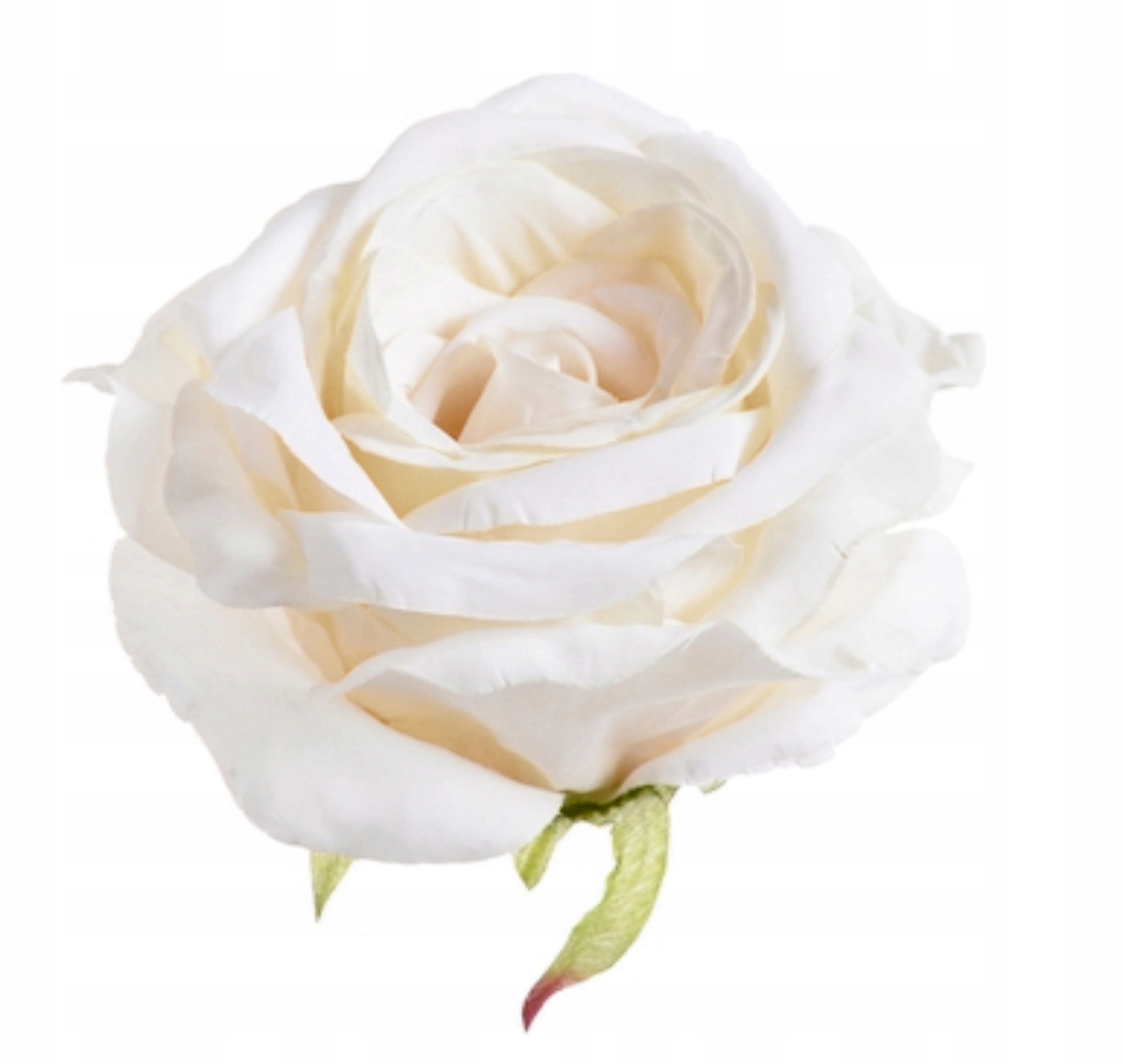 

Róża Rozwinięta Wyrobówka Jak Żywa Cream 9cm