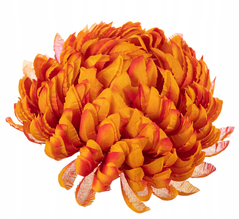 

Chryzantema ananas pomarańczowa do wiązanek