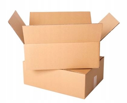 Karton klapowy 300x200x100 mm | 3W/B | 400 g/m² | ProtectBox+ | 20 sztuk Marka bez marki