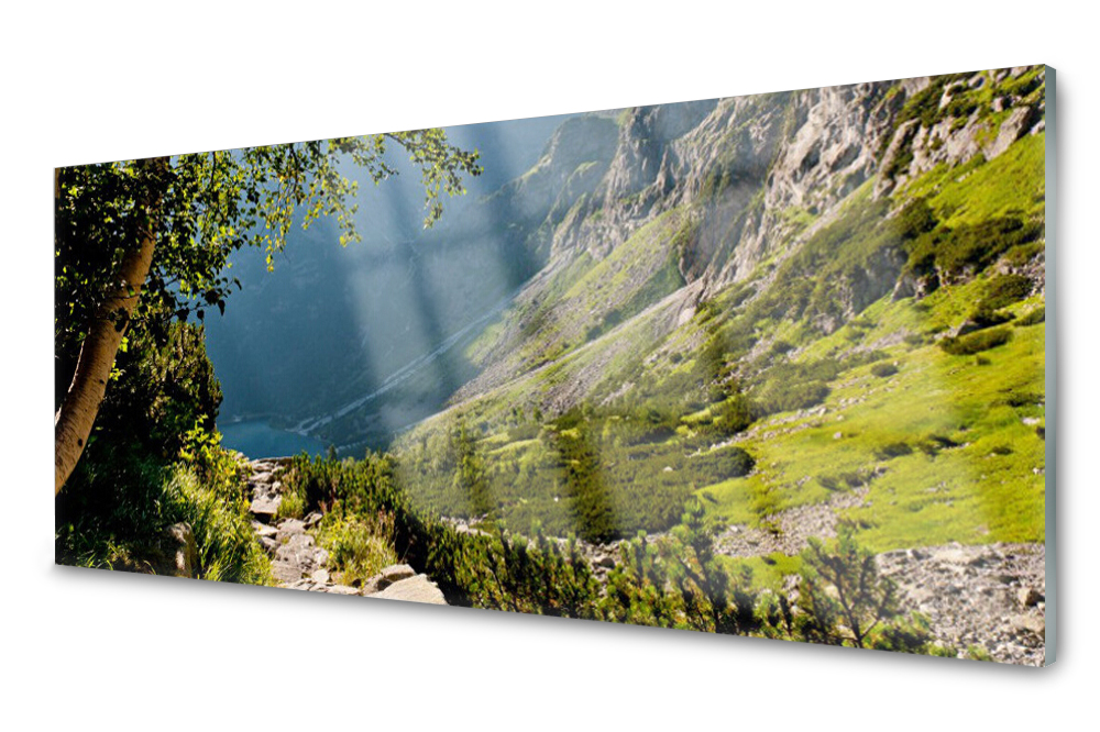 Sklenený panel do kuchyne Hora Les Príroda 125x50