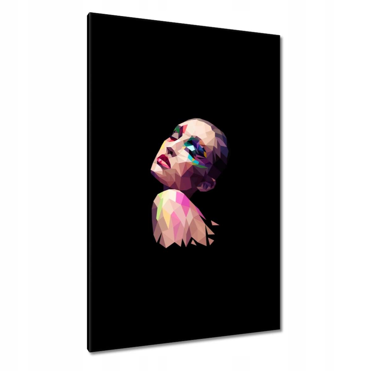 Obrázky 80x120 Polygonální malba