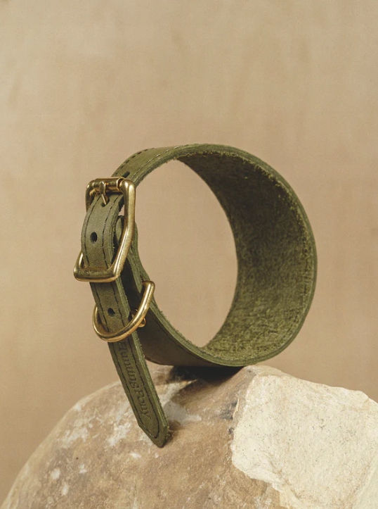 Levně Obojek pro psa Herring Green Zelený Xs Obvod 25-30 CM Kožený