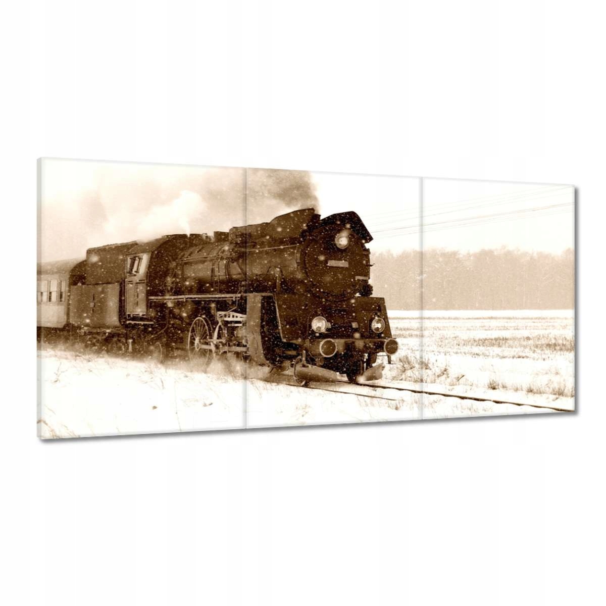 Obrazy 180x90 Parovoz Ol4959 v snehovej búrke