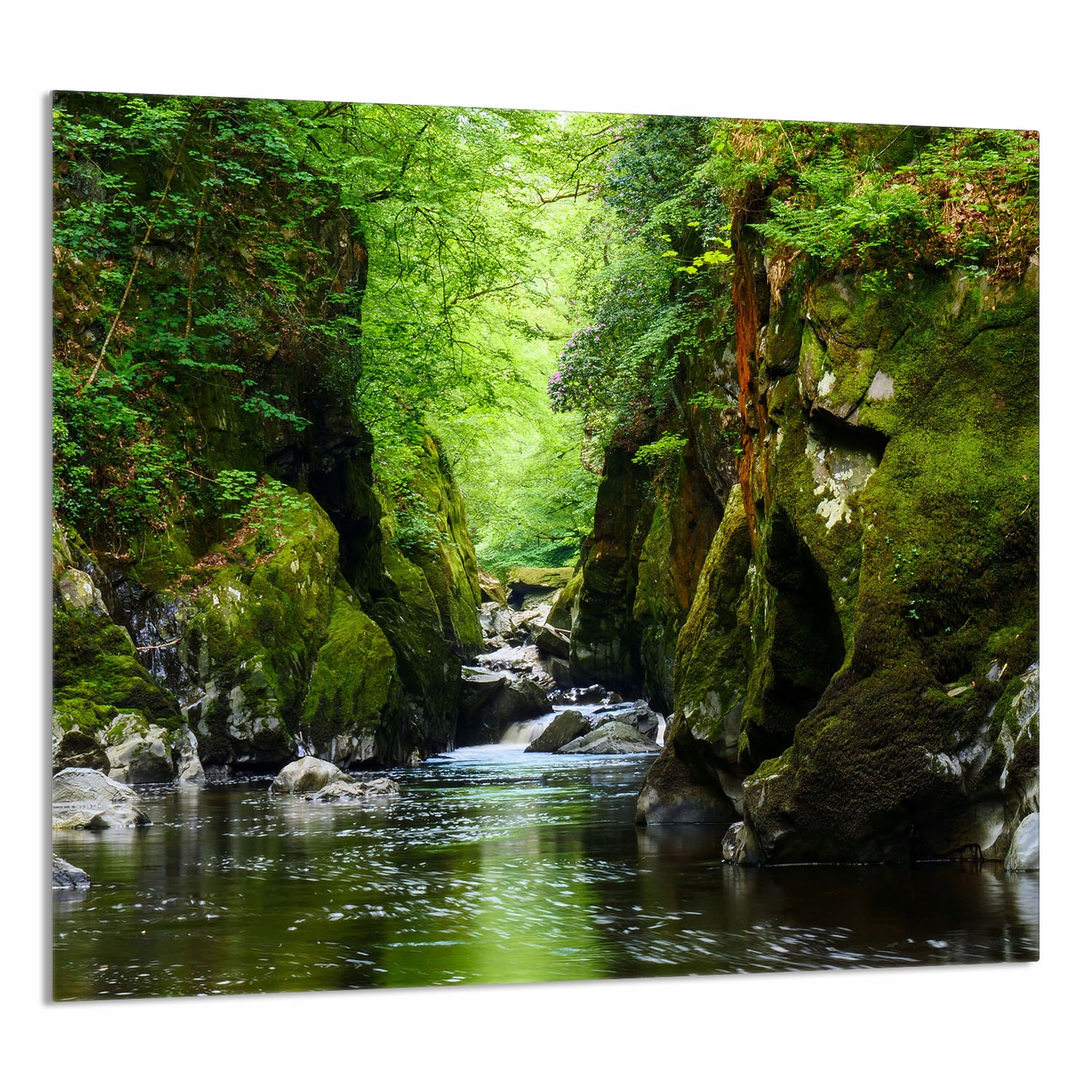 Skleněný Panel Do Kuchyně 65x60 Les Tvrzené Sklo