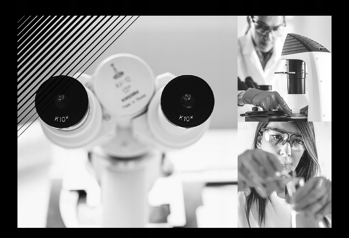 Soft99 Perfect Foam 1szt Szampon Samochodowy Pojemność opakowania 330 ml