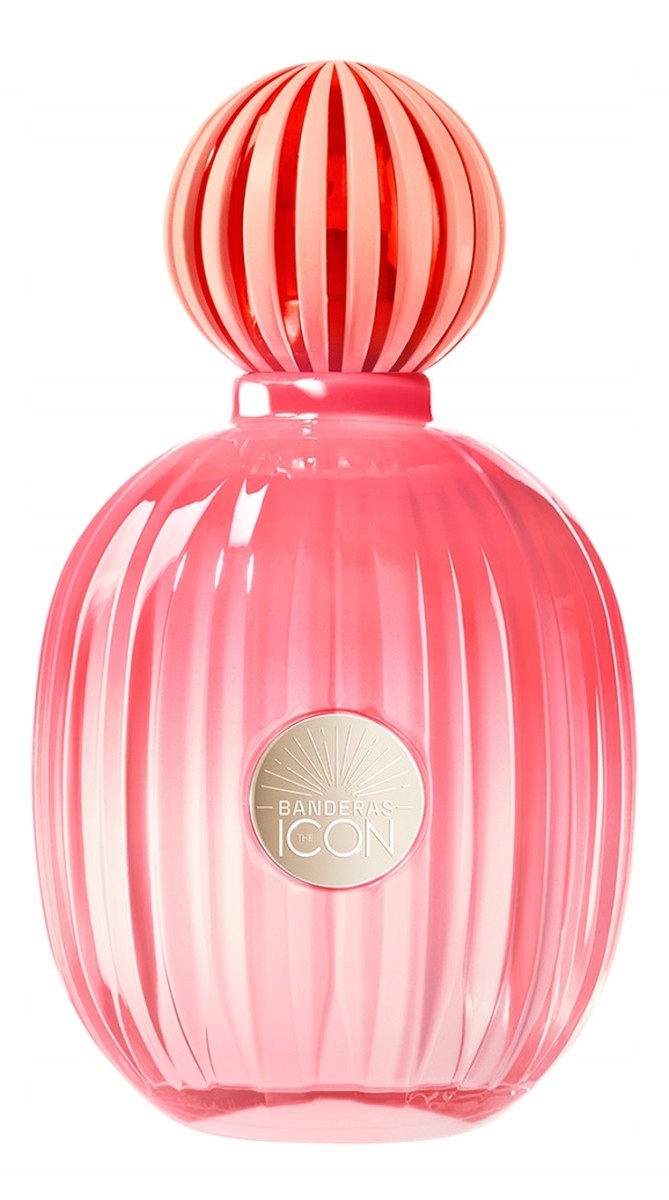 Antonio Banderas The Icon Splendid Parfémovaná voda ve spreji 100 ml