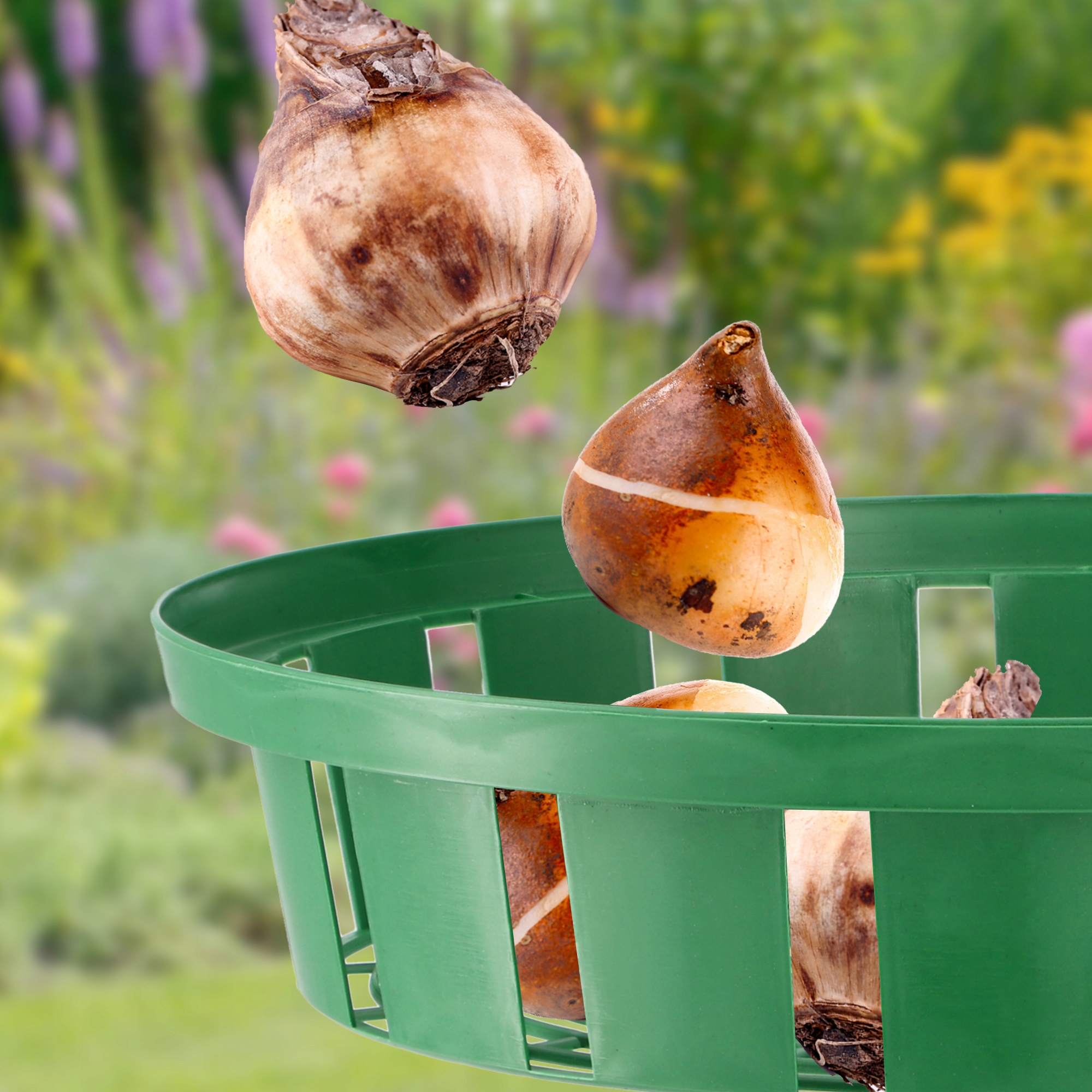 KOSZYK OSŁONKA DO SADZENIA CEBULEK fi 18cm Kształt okrągły