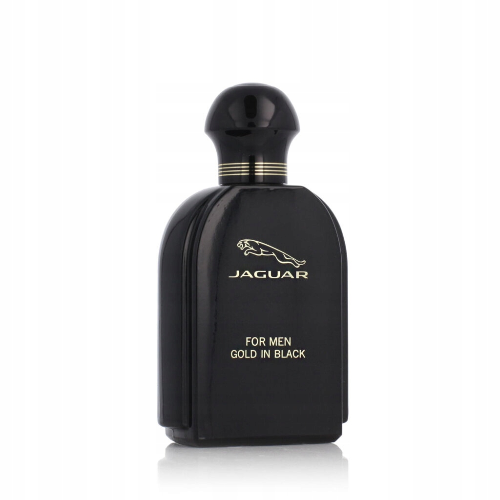Jaguar For Men Gold in Black Edt 100 ml M
