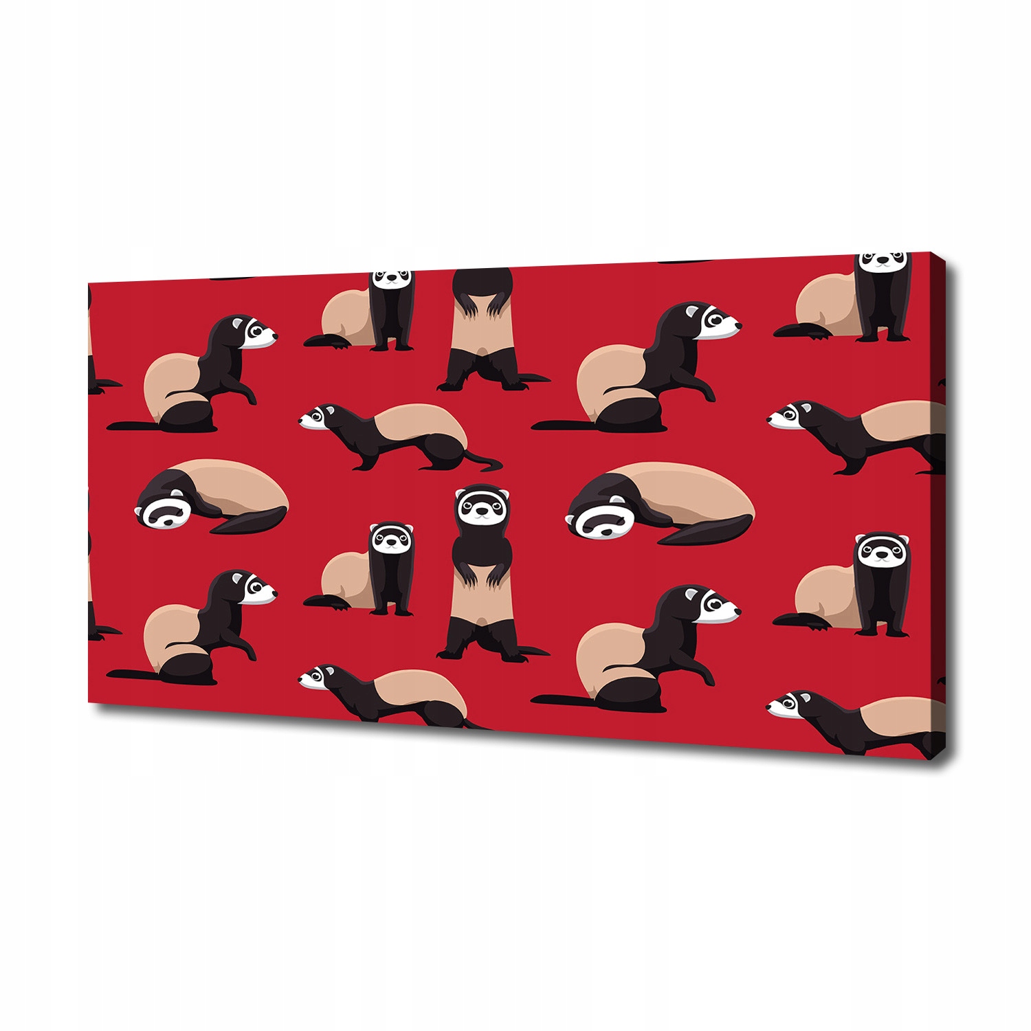 

Foto obraz na płótnie Tchórzofretka 140x70 cm