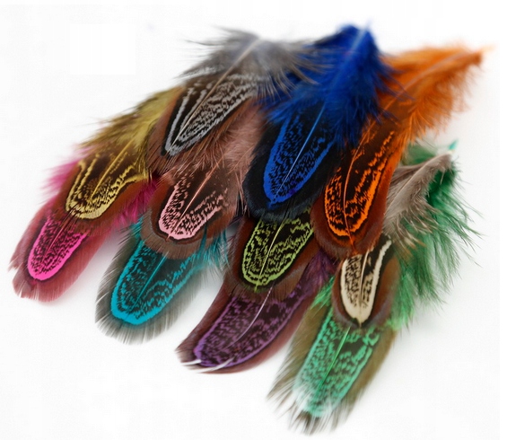PIÓRA BAŻANCIE 5-10 cm - KOMPLET 10 SZTUK
