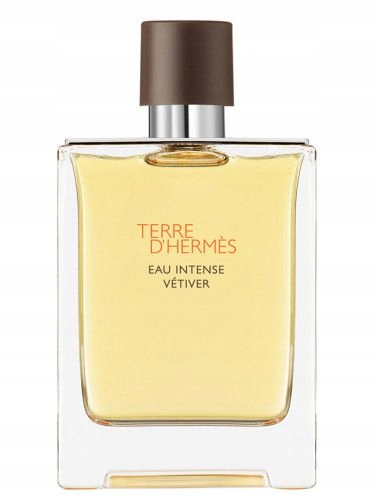 Hermes Terre d´Hermes Eau Intense Vetiver 50 ml parfémovaná voda