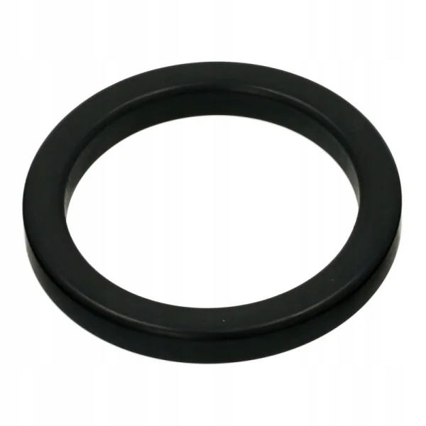 Gaggia uszczelka głowica kolbowy