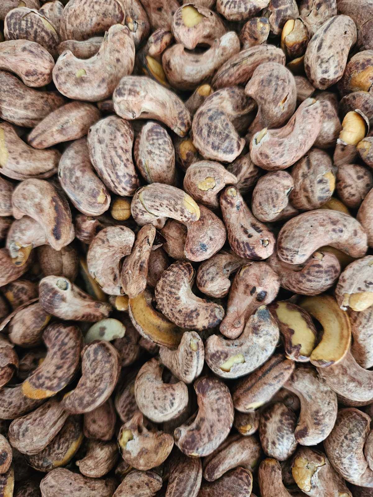 Kešu ořechy pražené v solné krustě 1 kg