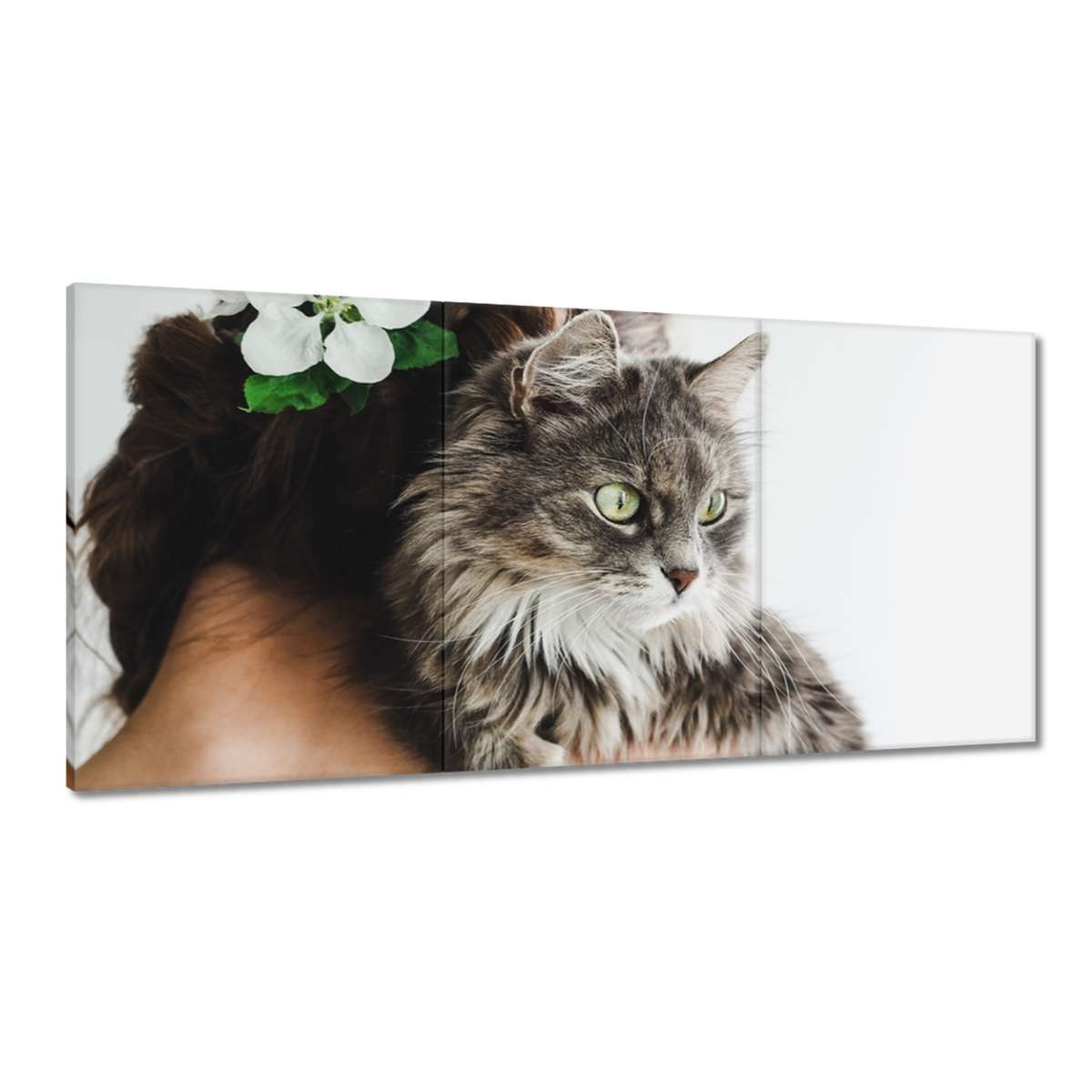 Obrazy 120x60 Kočka Kotě Kočky Kočka