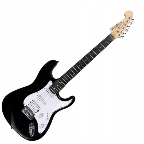 Washburn Ws 300 H (b) elektrická kytara