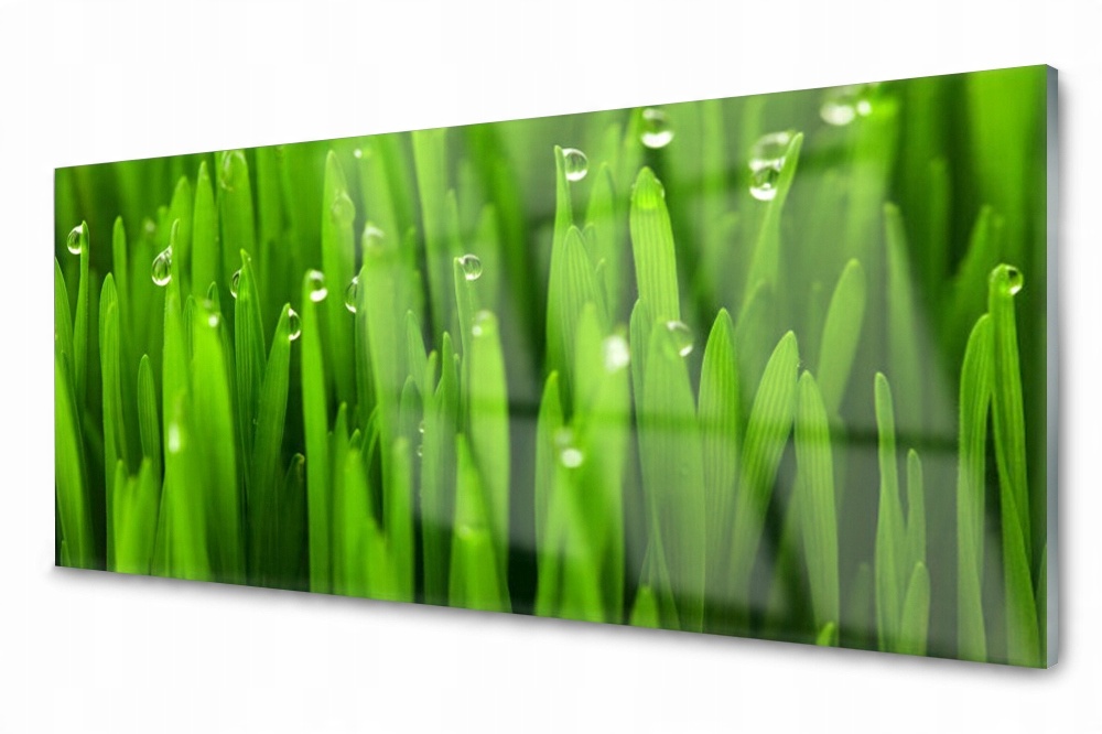 

Panel szklany do kuchni Trawa Roślina 125x50