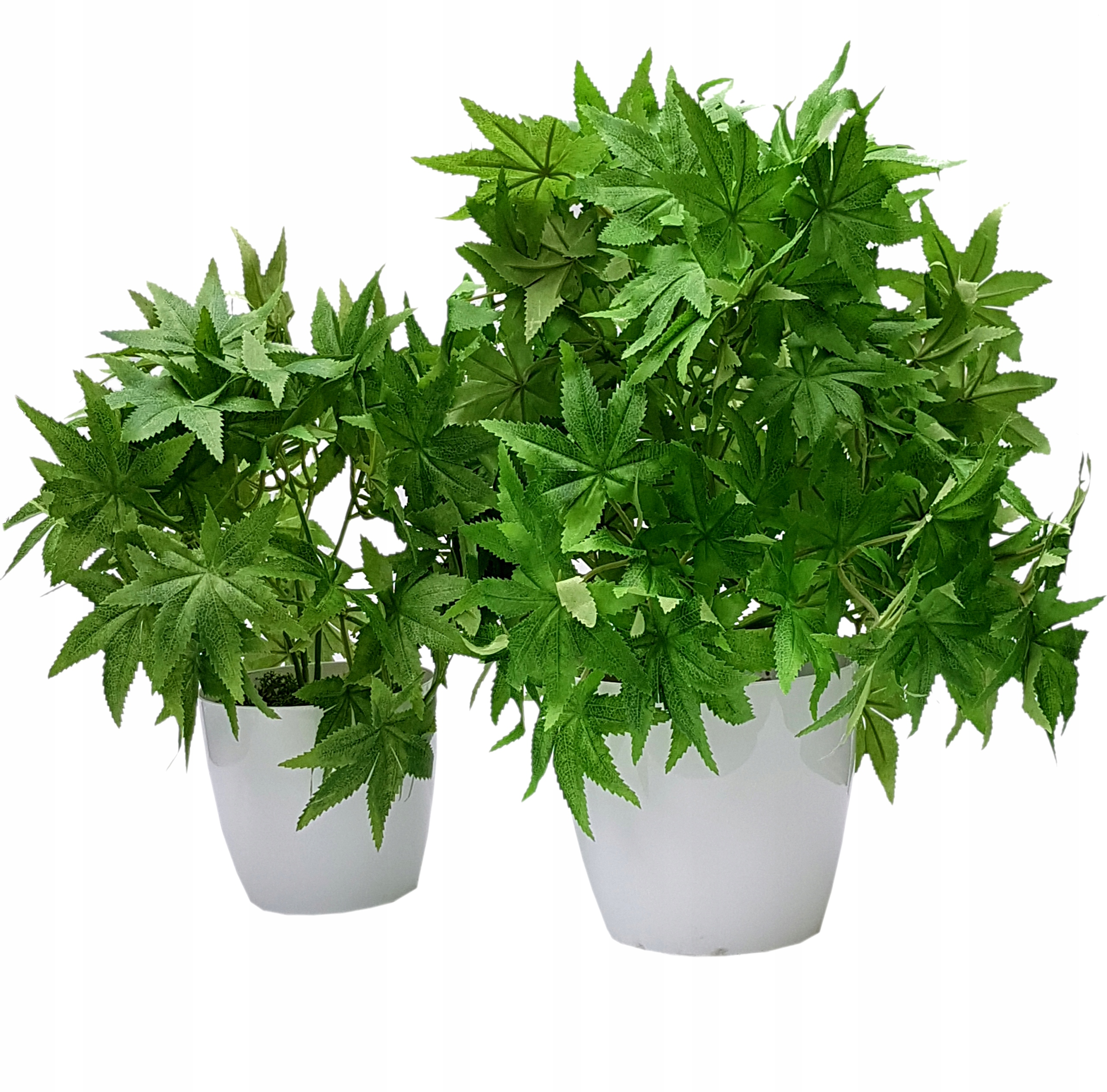 

Konopia L sztuczny kwiat roślina L