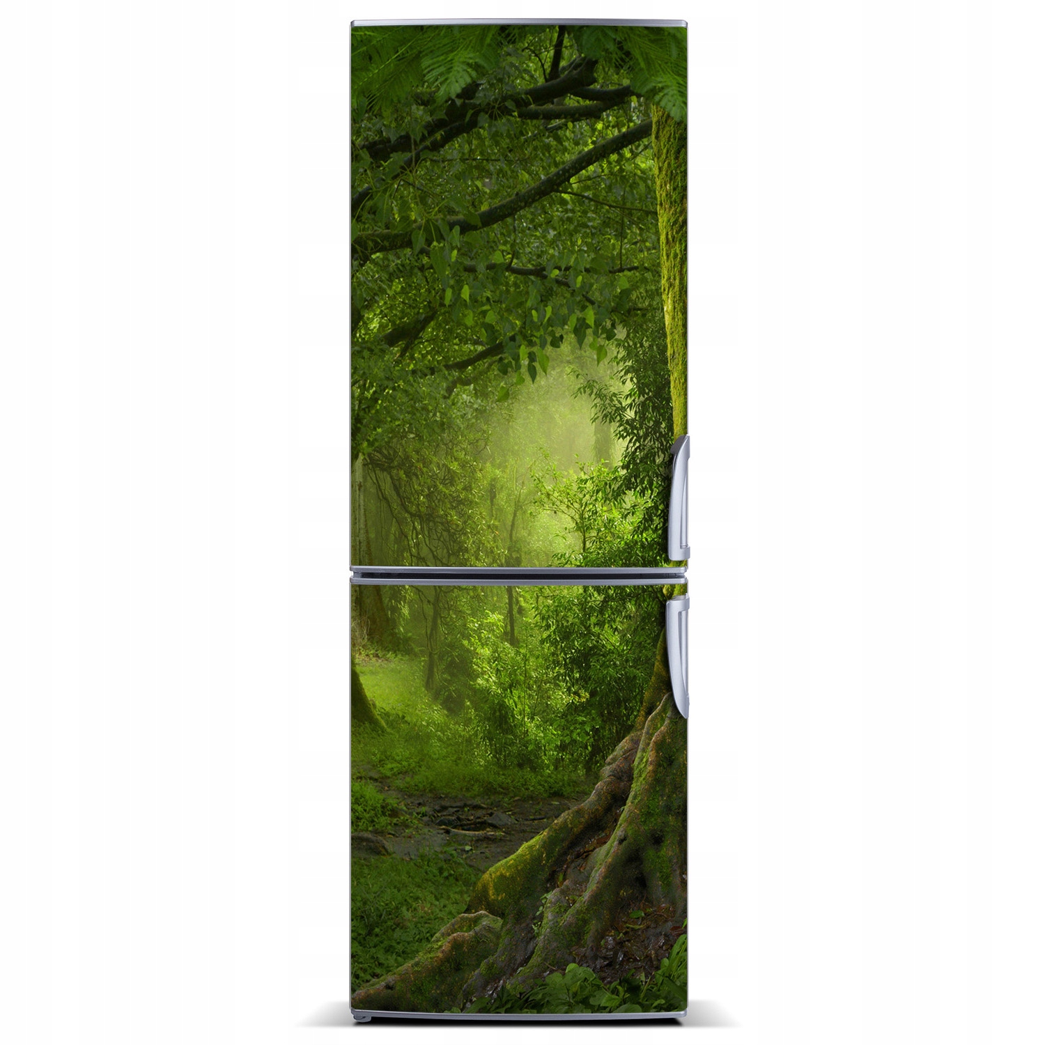 

Magnes na lodówkę Tropikalna dżungla 60x180