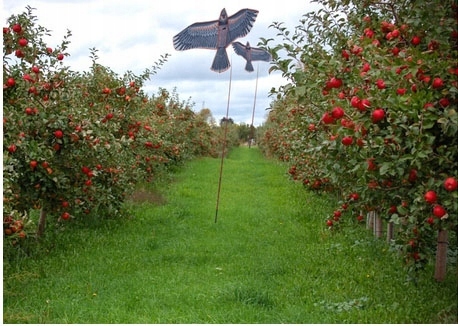 ODSTRASZACZ PTAKÓW ZWIERZĄT LATAWIEC OGRODOWY OGROMNY + MASZT 4 METRY Marka inna