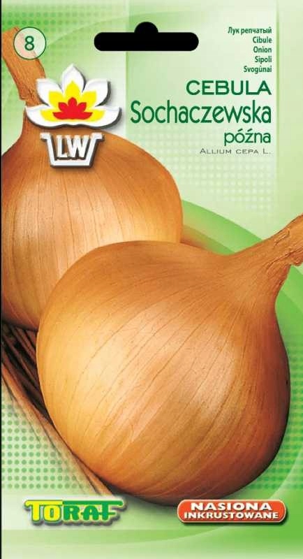 nasiona CEBULA SOCHACZEWSKA | TF1664 — 5
