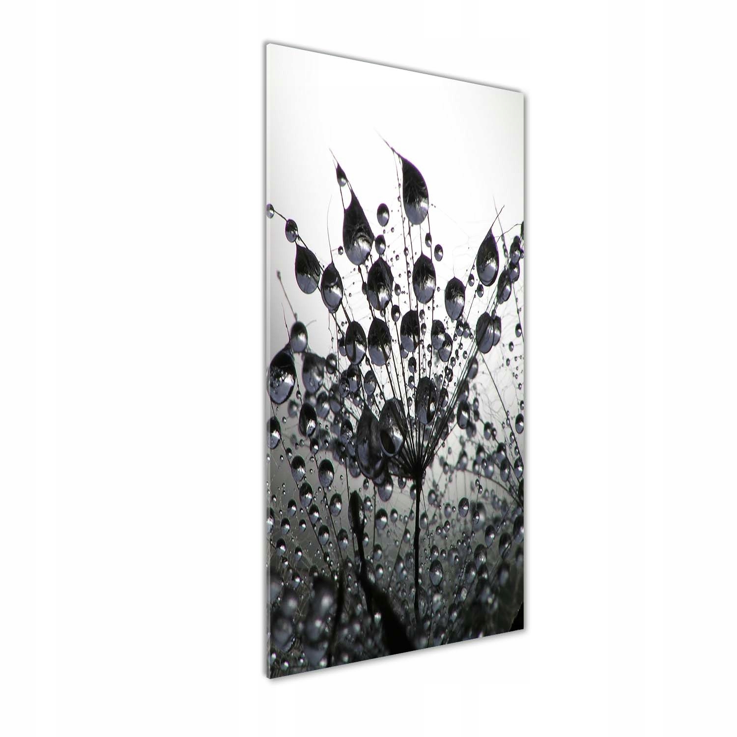 

Foto obraz akrylowy Nasiona dmuchawca 50x125 cm
