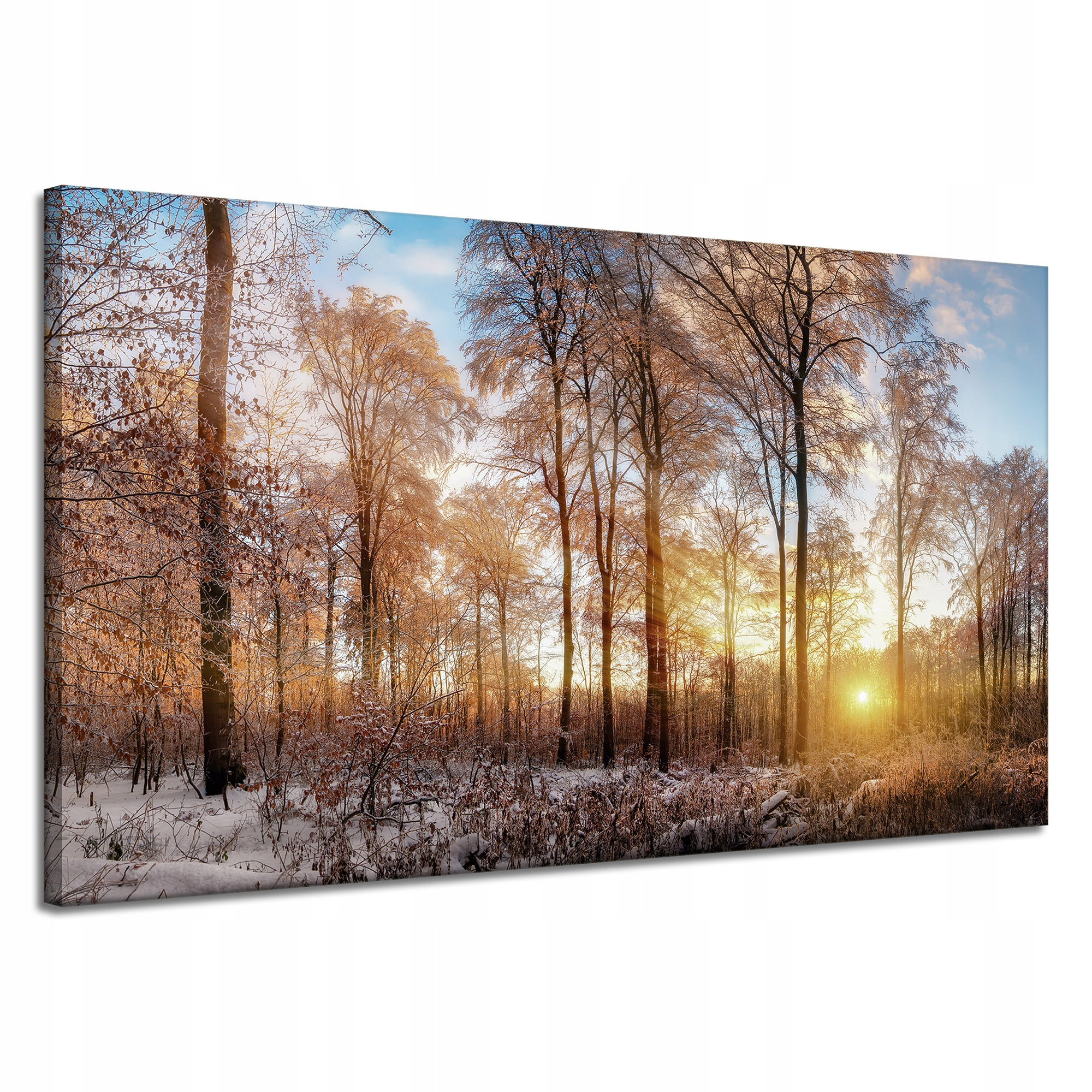 Obraz na plátně Stromy Zima Vycházející Slunce 120x70 cm Ideální jako dárek