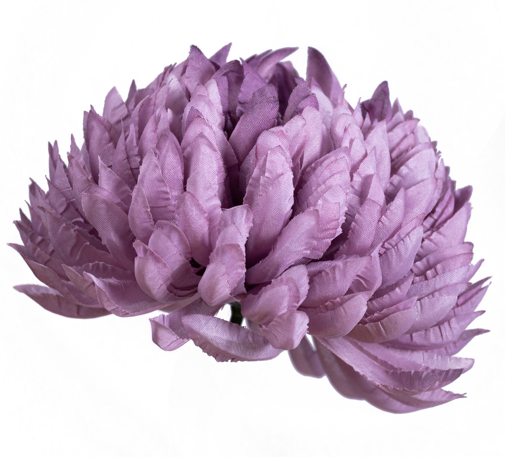 

Chryzantema ananas jasno fioletowa do wiązanek