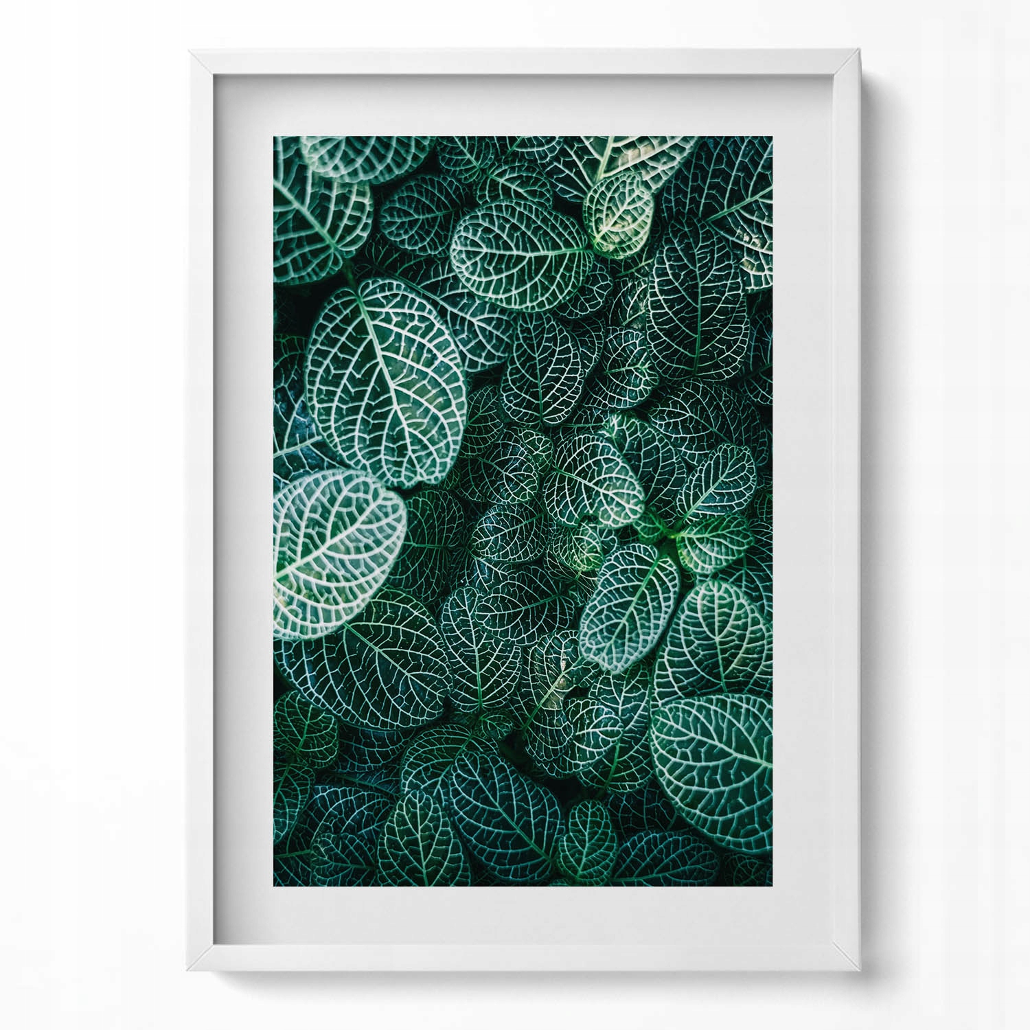 Nástěnný dekorativní obraz v rámu s grafikou Zelené divoké listy 50x70 cm