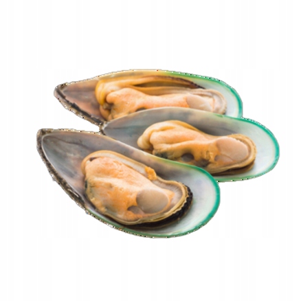 Małże Zielone Omułki Nowozelandzkie Na Połówce Muszli 1kg 31-40szt./kg Duże