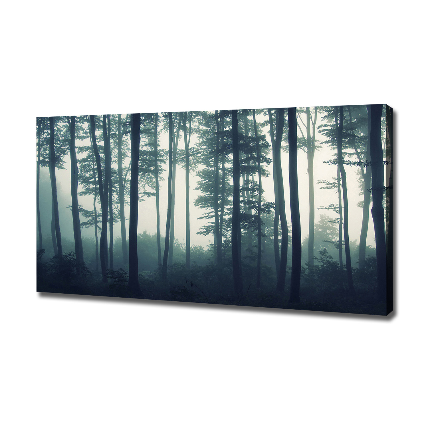 Fotoobraz canvas na zeď Les v mlze 120x60 cm