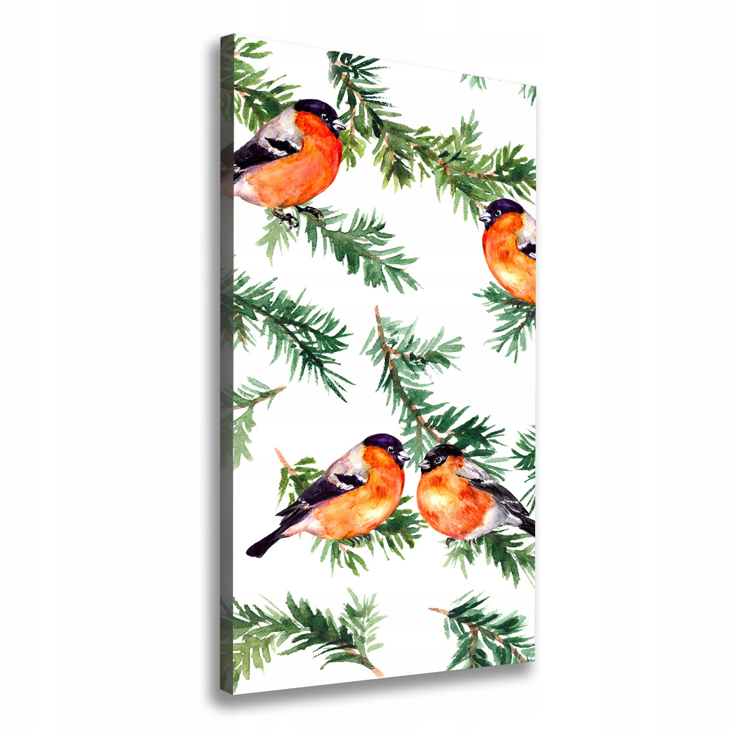 

Foto obraz na płótnie Rudzik i iglaki 50x100 cm