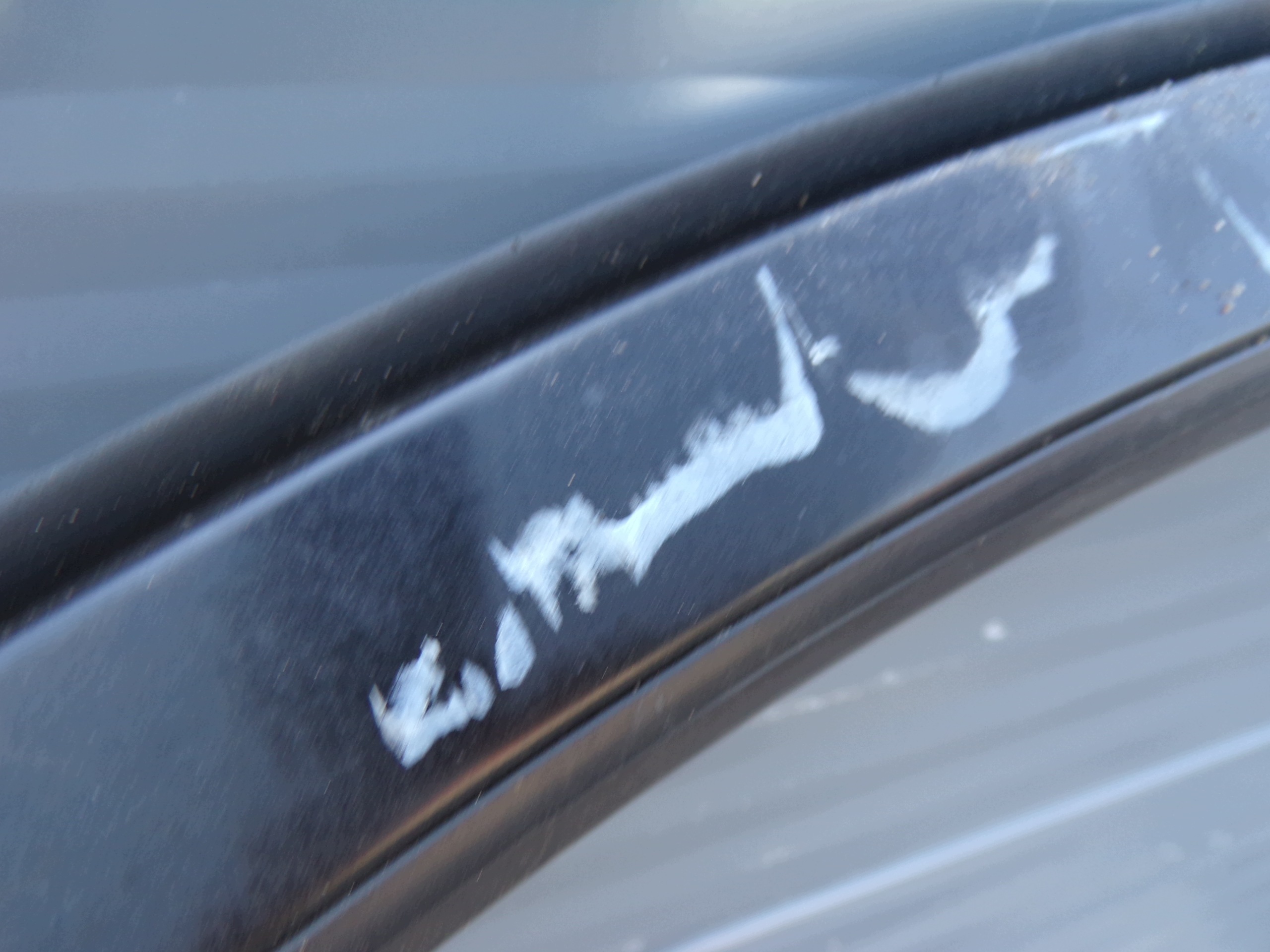 door left front TOYOTA LAND CRUISER 100